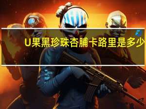 U果黑珍珠杏脯卡路里是多少