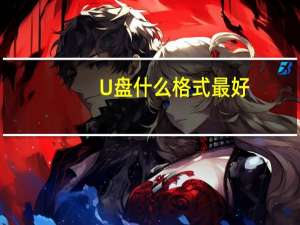 U盘什么格式最好