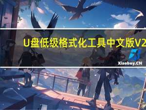 U盘低级格式化工具中文版 V2.0.6 汉化免费版（U盘低级格式化工具中文版 V2.0.6 汉化免费版功能简介）