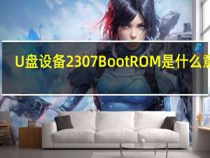 U盘设备2307 Boot ROM 是什么意思