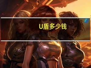 U盾多少钱