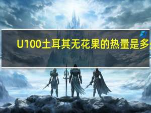 U100 土耳其无花果的热量是多少