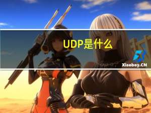 UDP是什么