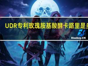 UDR 专利玫瑰胺基酸酵卡路里是多少