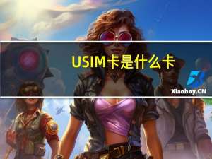 USIM卡是什么卡