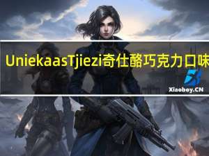 Uniekaas Tjiezi 奇仕酪 巧克力口味蘸料(饼干条)卡路里是多少