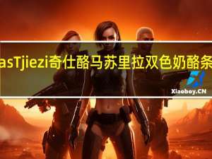 Uniekaas Tjiezi 奇仕酪 马苏里拉双色奶酪条卡路里是多少