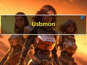 Usbmon(u盘写保护工具) V4.0 绿色免费版（Usbmon(u盘写保护工具) V4.0 绿色免费版功能简介）