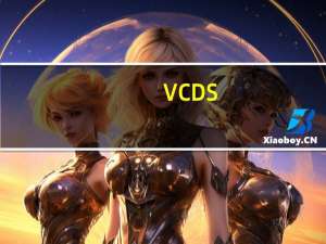 VCDS(大众汽车电脑诊断软件) V17.1.3 官方版（VCDS(大众汽车电脑诊断软件) V17.1.3 官方版功能简介）