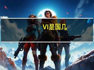 VI是国几