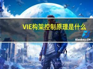 VIE构架控制原理是什么