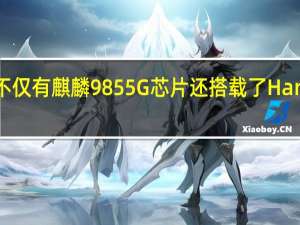 VIKKK19Pro不仅有麒麟9855G芯片还搭载了HarmonyOS2操作系统