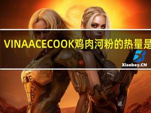 VINA ACECOOK 鸡肉河粉的热量是多少