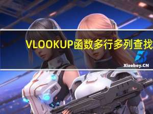 VLOOKUP函数多行多列查找