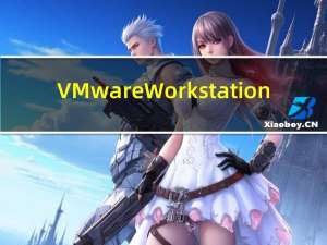 VMware Workstation(虚拟机) V16.0 汉化破解版（VMware Workstation(虚拟机) V16.0 汉化破解版功能简介）