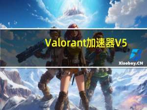 Valorant加速器 V5.2.1 官方免费版（Valorant加速器 V5.2.1 官方免费版功能简介）