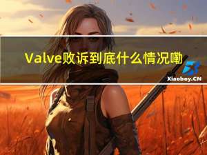 Valve 败诉 到底什么情况嘞