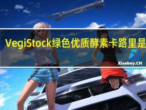Vegi Stock 绿色优质酵素卡路里是多少