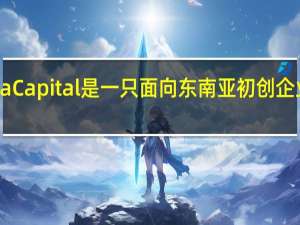 Venturra Capital是一只面向东南亚初创企业的1亿多美元