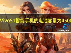 Vivo S1智能手机的电池容量为4500mAh