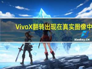 Vivo X翻转出现在真实图像中