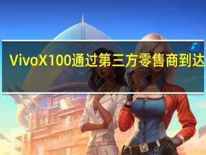 Vivo X100 通过第三方零售商到达欧洲