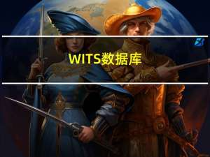 WITS数据库（wits数据库）