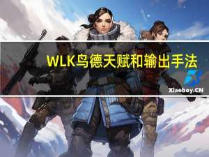 WLK鸟德天赋和输出手法