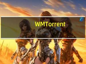 WMTorrent(bt种子清洗器) V1.0 绿色免费版（WMTorrent(bt种子清洗器) V1.0 绿色免费版功能简介）