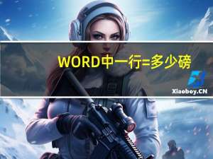 WORD中一行=多少磅