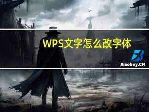 WPS文字怎么改字体