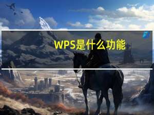WPS是什么功能