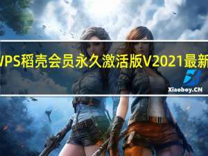 WPS稻壳会员永久激活版 V2021 最新免费版（WPS稻壳会员永久激活版 V2021 最新免费版功能简介）