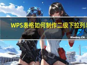 WPS表格如何制作二级下拉列表