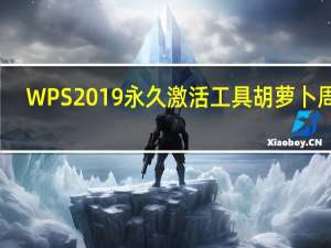 WPS2019永久激活工具 胡萝卜周版（WPS2019永久激活工具 胡萝卜周版功能简介）