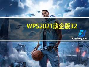 WPS2021政企版 32/64位 永久会员版（WPS2021政企版 32/64位 永久会员版功能简介）