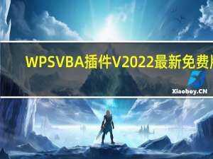 WPS VBA插件 V2022 最新免费版（WPS VBA插件 V2022 最新免费版功能简介）
