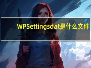 WPSettings dat是什么文件？