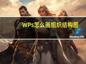 WPs怎么画组织结构图（怎么画组织结构图）