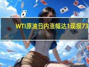 WTI原油日内涨幅达1%现报73.85美元/桶；布伦特原油日内涨0.9%现报 78.2美元/桶