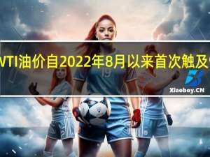 WTI油价自2022年8月以来首次触及95美元/桶