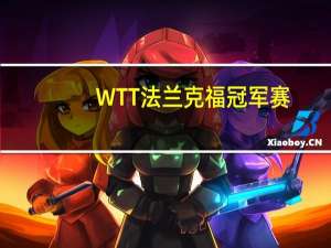 WTT法兰克福冠军赛：王艺迪战胜王曼昱夺冠