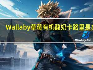 Wallaby 草莓有机酸奶卡路里是多少
