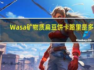 Wasa 矿物质扁豆饼卡路里是多少