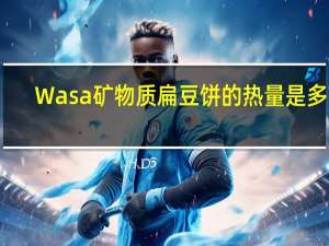 Wasa 矿物质扁豆饼的热量是多少