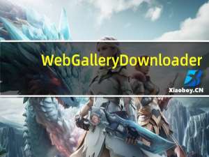 Web Gallery Downloader(图库网站图片抓取下载工具) V4.0.0.1 绿色版（Web Gallery Downloader(图库网站图片抓取下载工具) V4.0.0.1 绿色版功能简介）