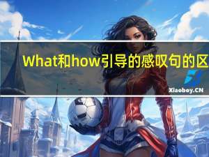 What和how引导的感叹句的区别
