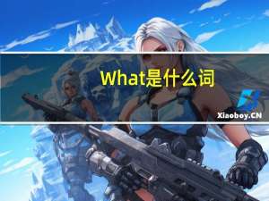What是什么词