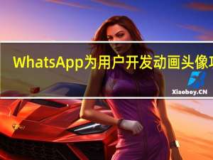 WhatsApp为用户开发动画头像功能