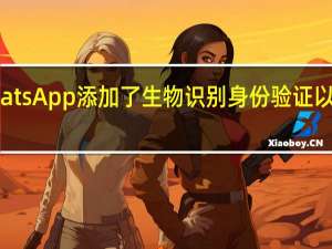 WhatsApp添加了生物识别身份验证以链接电话